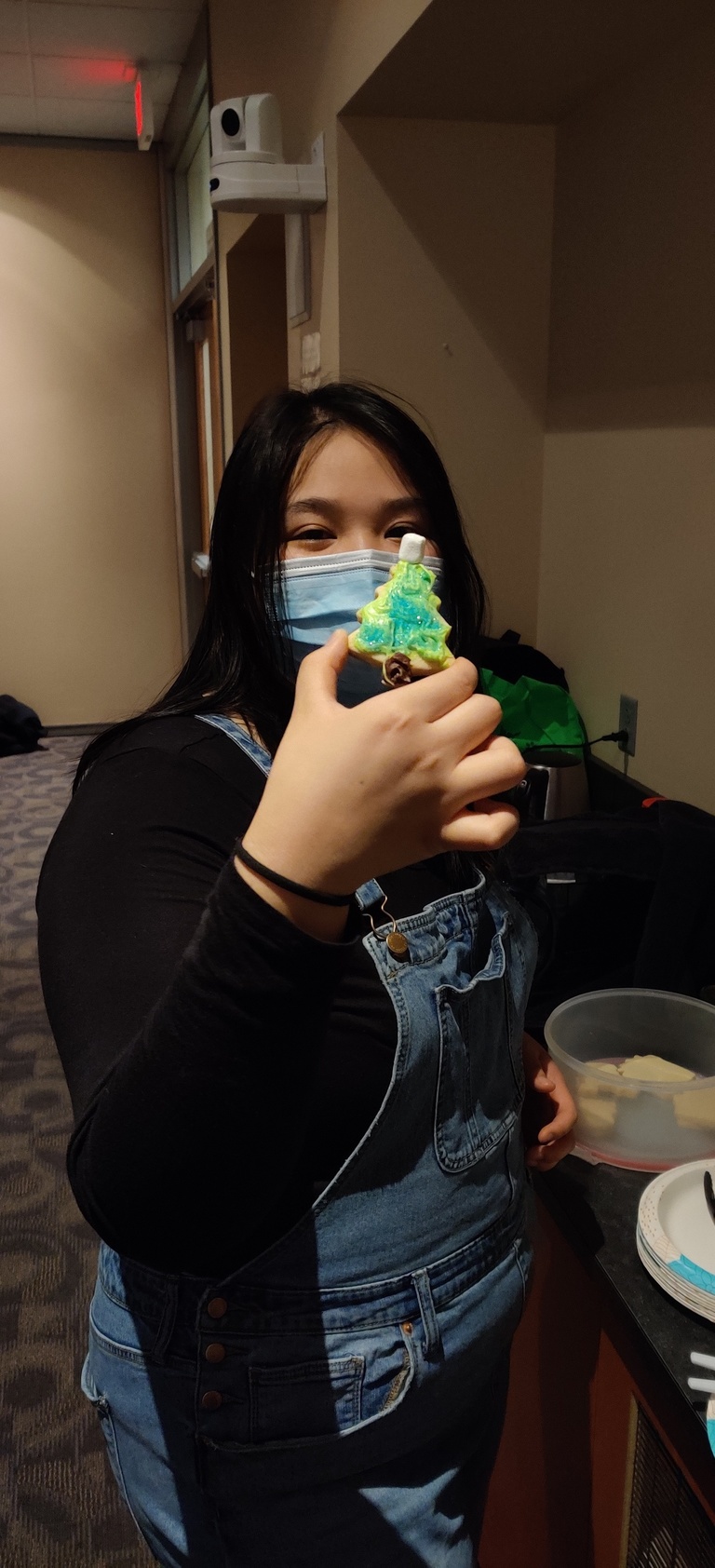Holiday Cookie 1