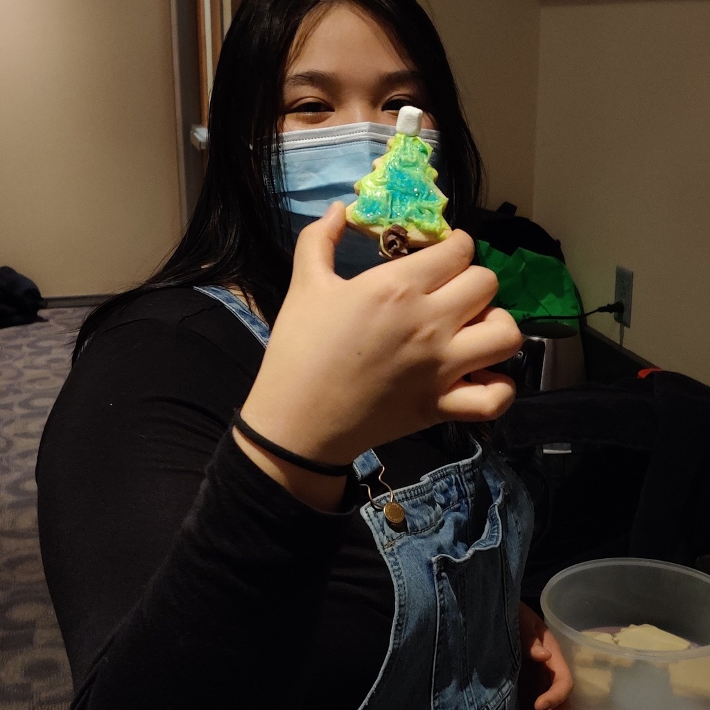 Holiday Cookie 1